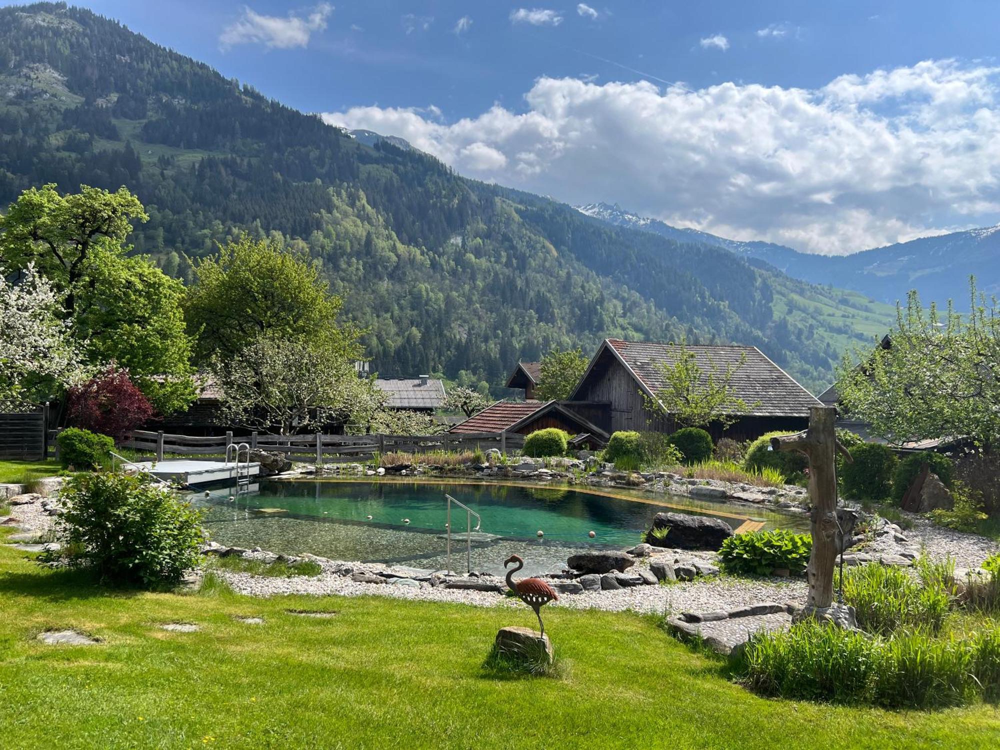 Appartement Alte Schmiede Dorfgastein Eksteriør bilde