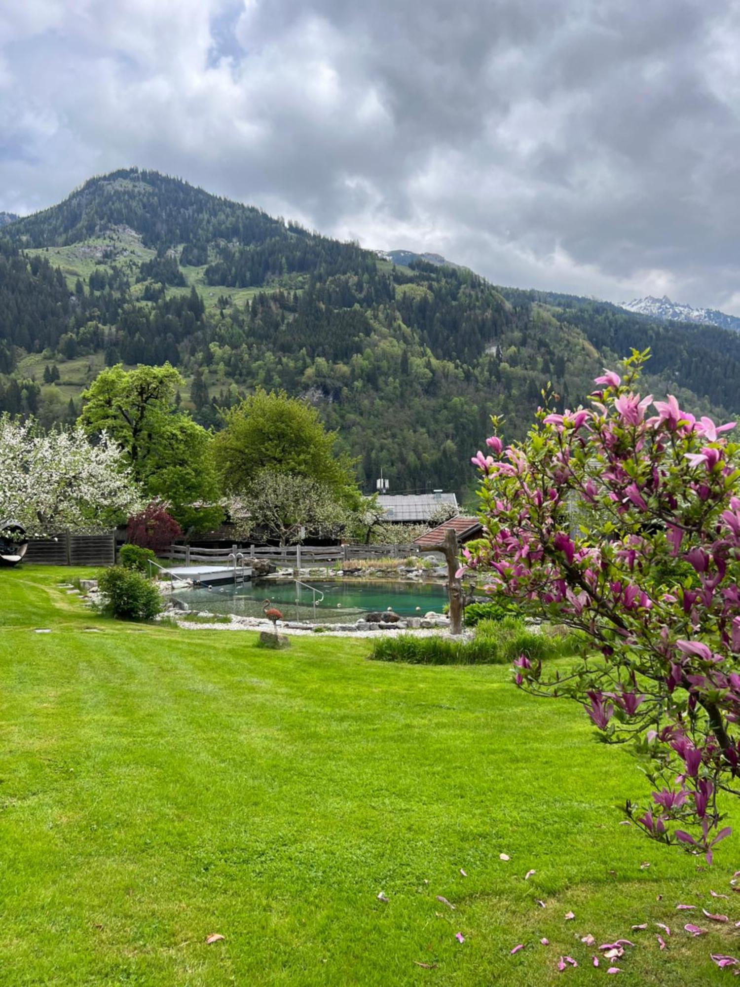 Appartement Alte Schmiede Dorfgastein Eksteriør bilde